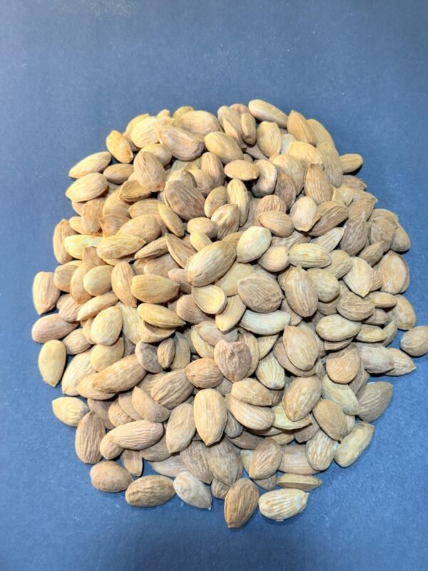 Badam Ghorbandi (Large) - Image 3